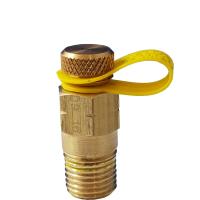 Precision Valves Pete`s Plugs